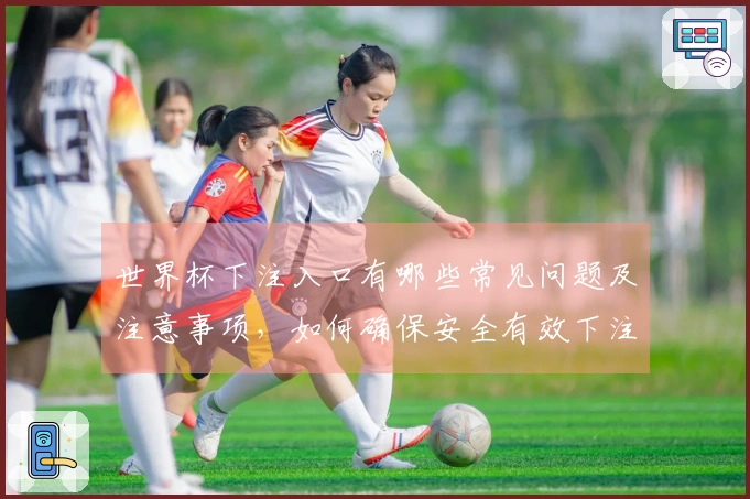 世界杯下注入口有哪些常见问题及注意事项，如何确保安全有效下注？