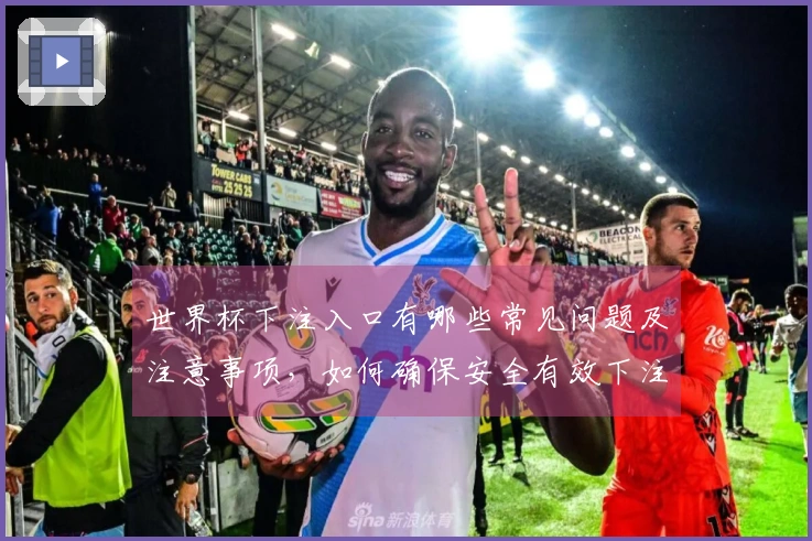 世界杯下注入口有哪些常见问题及注意事项，如何确保安全有效下注？