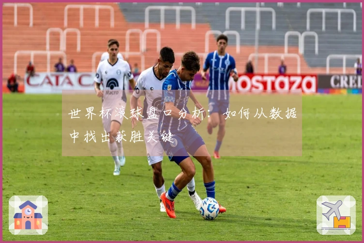 世界杯滚球盘口分析：如何从数据中找出获胜关键